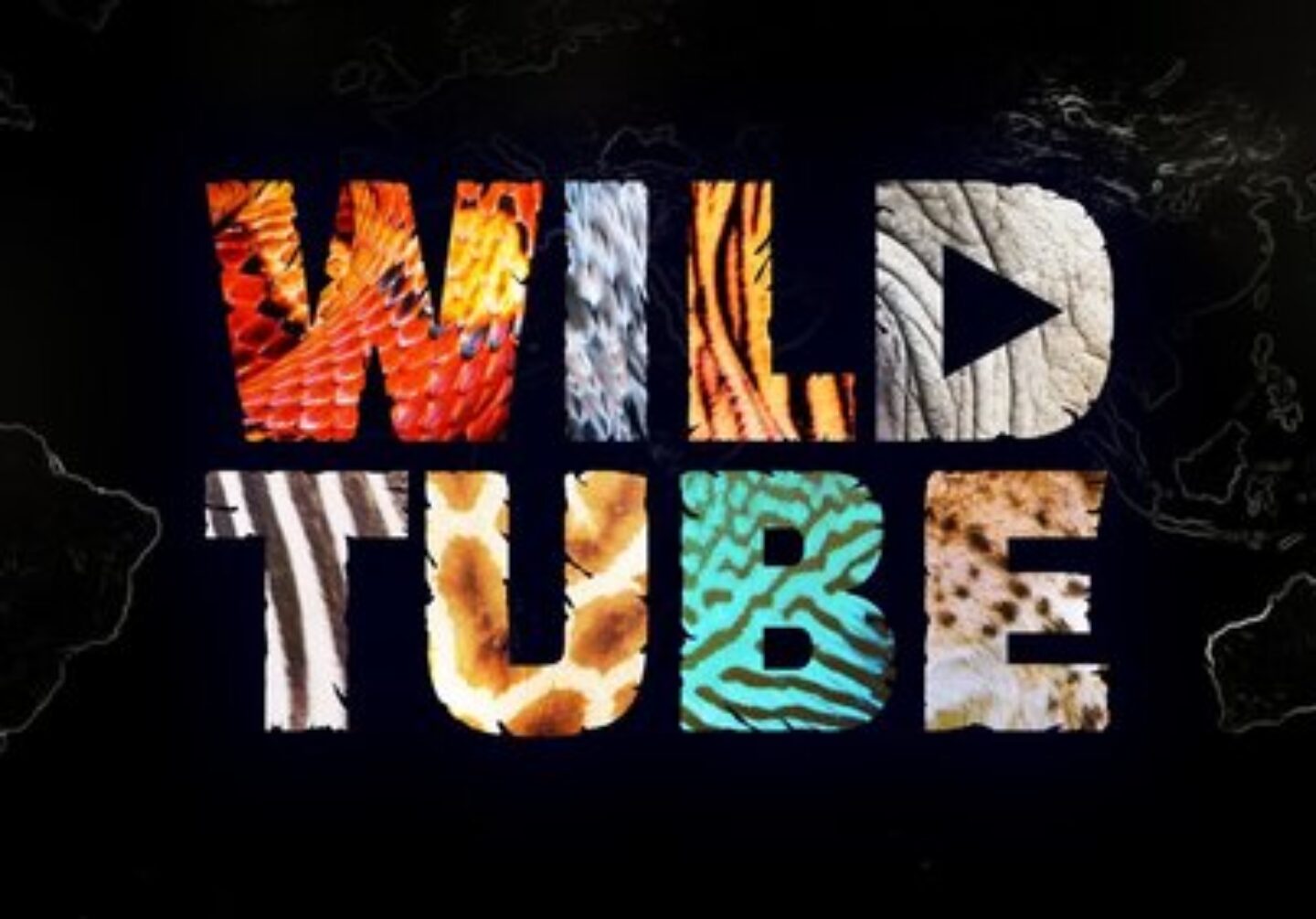 Wild Tube