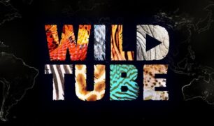 Wild Tube