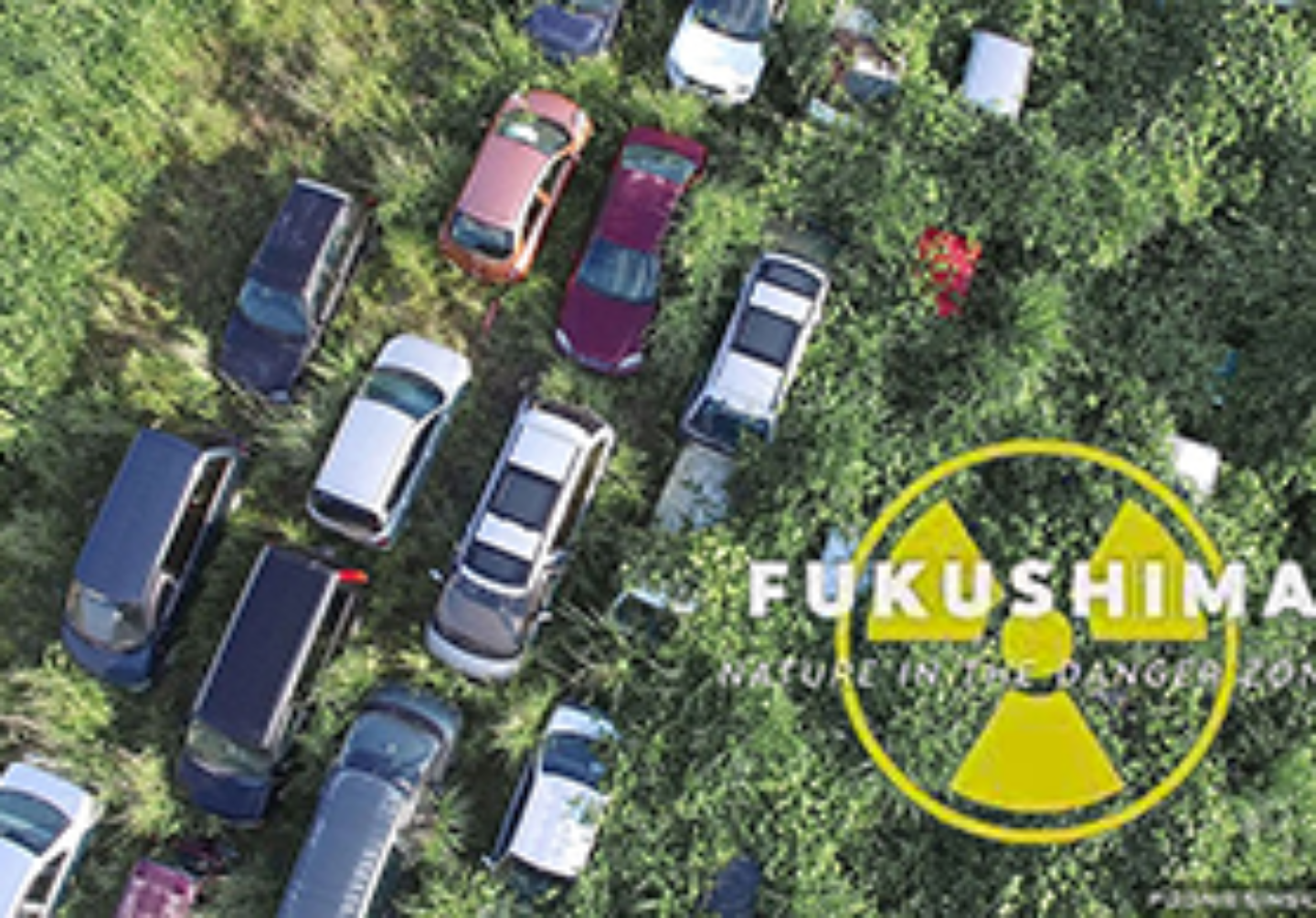 Fukushima